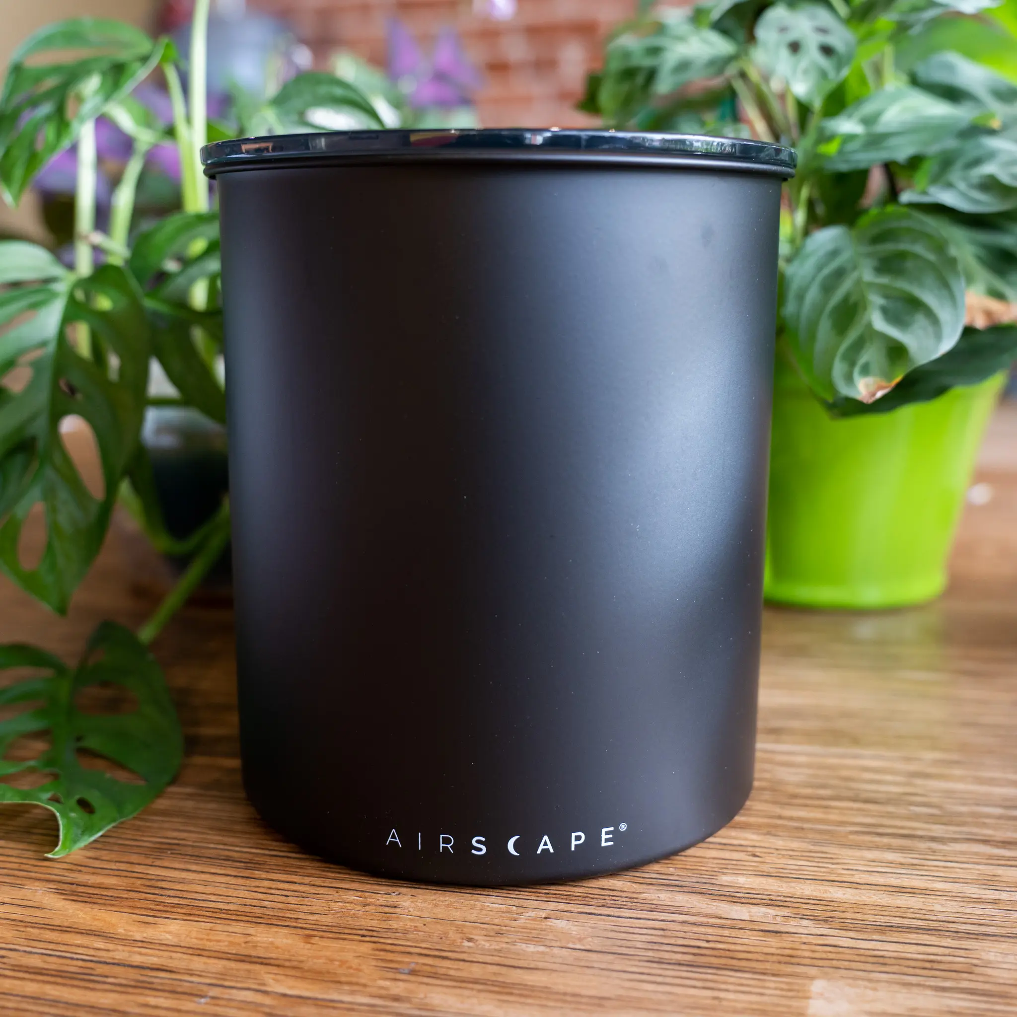 Airscape® Kilo Coffee Canister