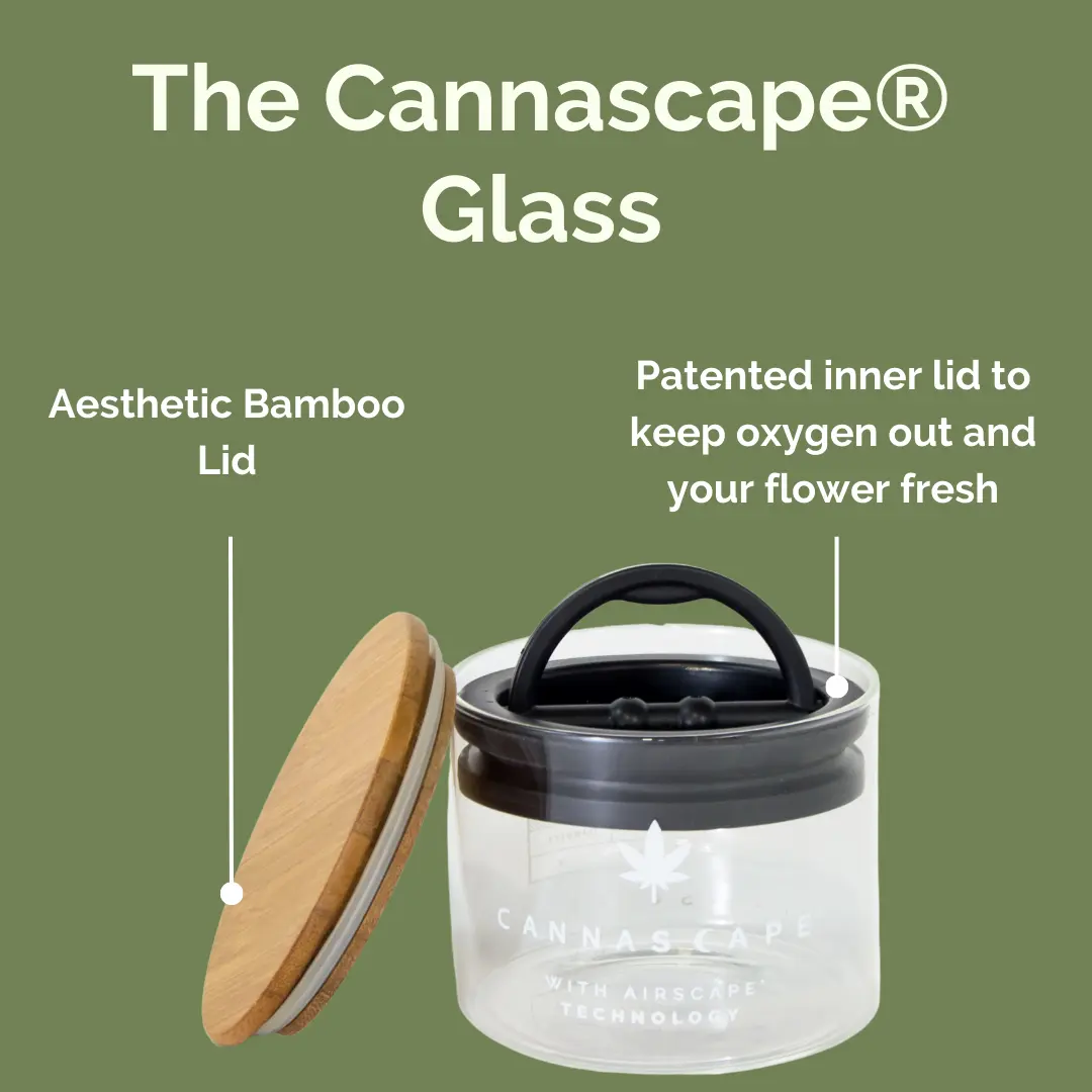 https://cannascape.co/wp-content/uploads/2022/12/Glass_Infographic_01_Cannascape.webp