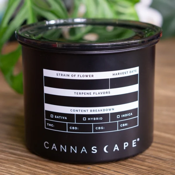Black Cannascape Best Weed Storage Containers